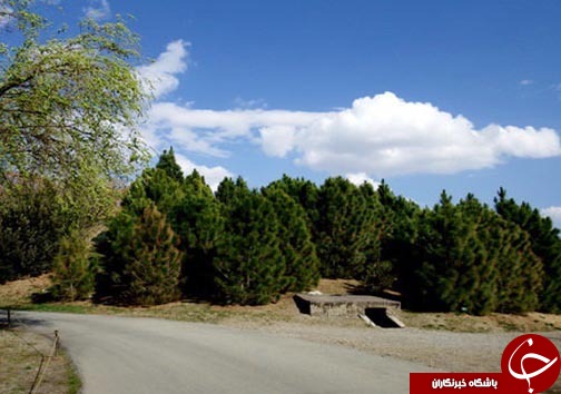 جایی در تهران، که حتما باید رفت و دید
