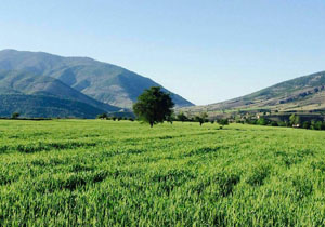 تصاویری از روستای سرسبز ناصرآباد