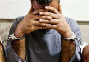 طی 72ساعت گذشته 30سارق حرفه ای دستگیرشده اند