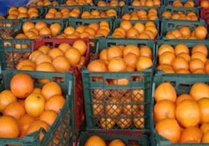 توزیع یک هزار و 95 تن ميوه در ایام نوروز در چهارمحال و بختياری