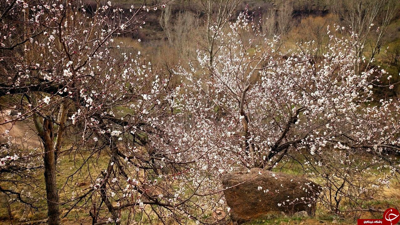 طبیعت زیبا منطقه دربند هیر اردبیل + تصاویر