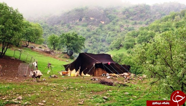 عکس هایی که بوی زندگی می دهد( قسمت بیست و نهم)