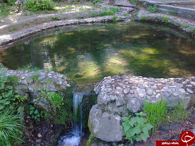 عکس هایی که بوی زندگی می دهد( قسمت بیست و نهم)