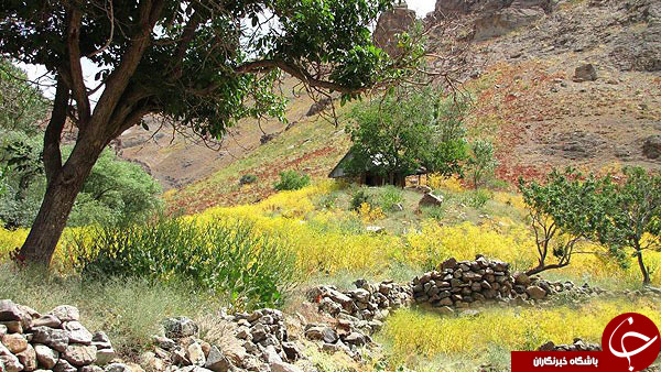 عکس هایی که بوی زندگی می دهد( قسمت بیست و نهم)