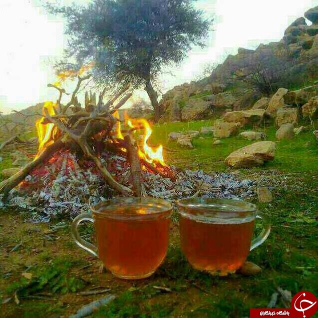 عکس هایی که بوی زندگی می دهد( قسمت بیست و نهم)
