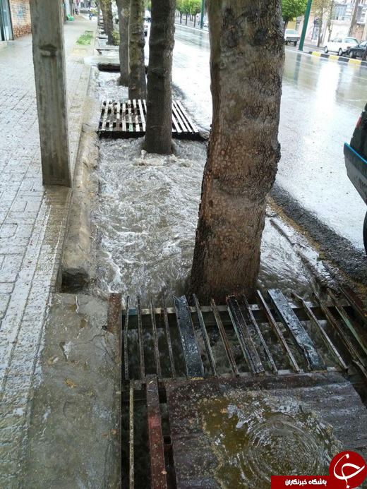 بارش باران در ملایر موجب آبگرفتگی شد + تصاویر