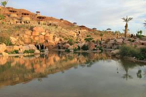 برگزاری جشنواره بزرگ تابستانی بافق