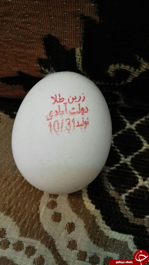 بسته خبری + تصاویر