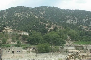 هفت تن در کنر جان باختند