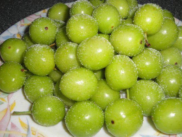 میوه های نوبرانه کمی با طعم بیماری  + تصویر