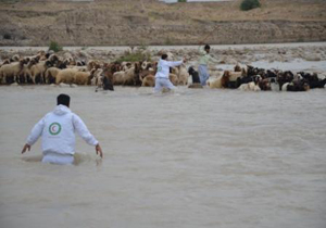از مرگ دلخراش کودک تا نجات دو چوپان پلدختری