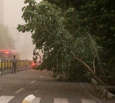 34 حادثه نتیجه وزش باد شديد در اهواز