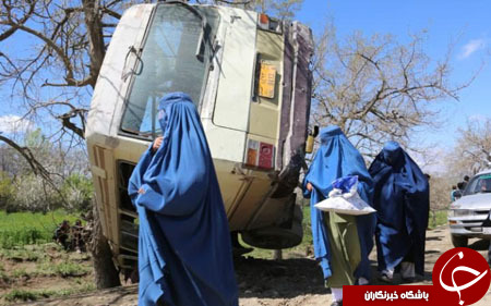 از چشمان دو رنگ پسربچه یمنی تا اقامت شبانه در آکواریوم کوسه&zwnj;ها