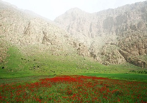استان کرمانشاه استان چهار فصل است