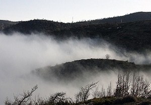 پایداری هوا