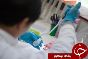 ملودونیوم ما را به خاک سیاه نشاند