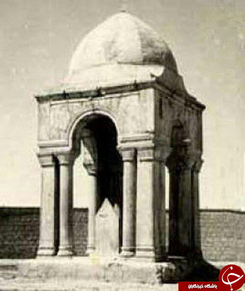 سیب زمینی به شکل گوسفند/