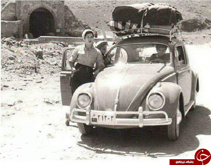 سیب زمینی به شکل گوسفند/