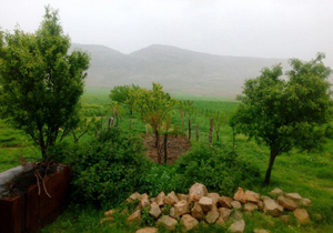طبیعت سرسبز و بهاری روستای زرنه + تصاویر