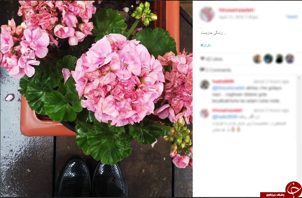 بارش باران در اینستاگرام+اینستا پست