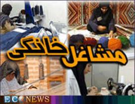 جذب 422 میلیارد ریال تسهیلات بانکی برای مشاغل خانگی