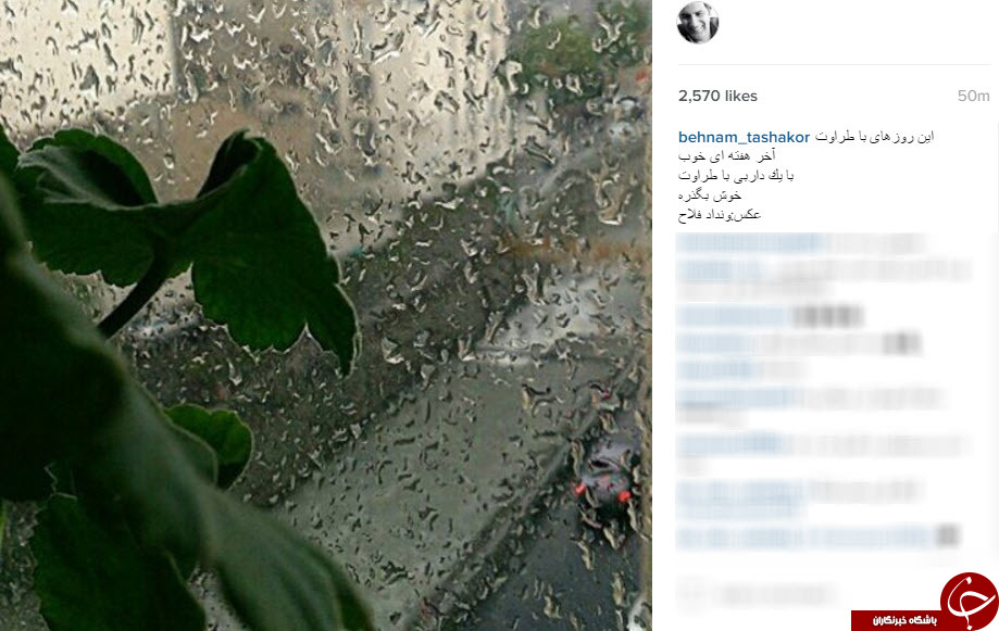 اینستاگردی