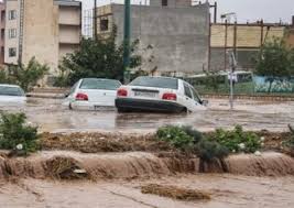 سیل در دهلران چند خودرو را برد
