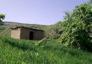 طبیعت زیبای روستای قرناوه سفلی + تصاویر