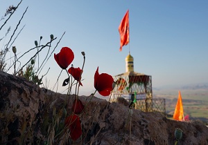 بازی دراز نماد ایستادگی و سربلندی استان