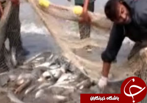 از آلودگی&zwnj;های زیست محیطی تا قلعه&zwnj;ای زیبا در استان&zwnj;های کشور