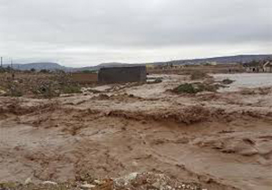 سیل روستایی در پلدختر را به زیرآب برد
