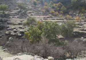 سریال تعرض به آثارتاریخی روستای گوشه