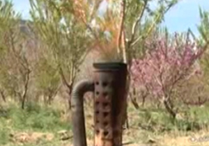 نابودی محصولات کشاورزی بر اثر سرما زدگی + فیلم