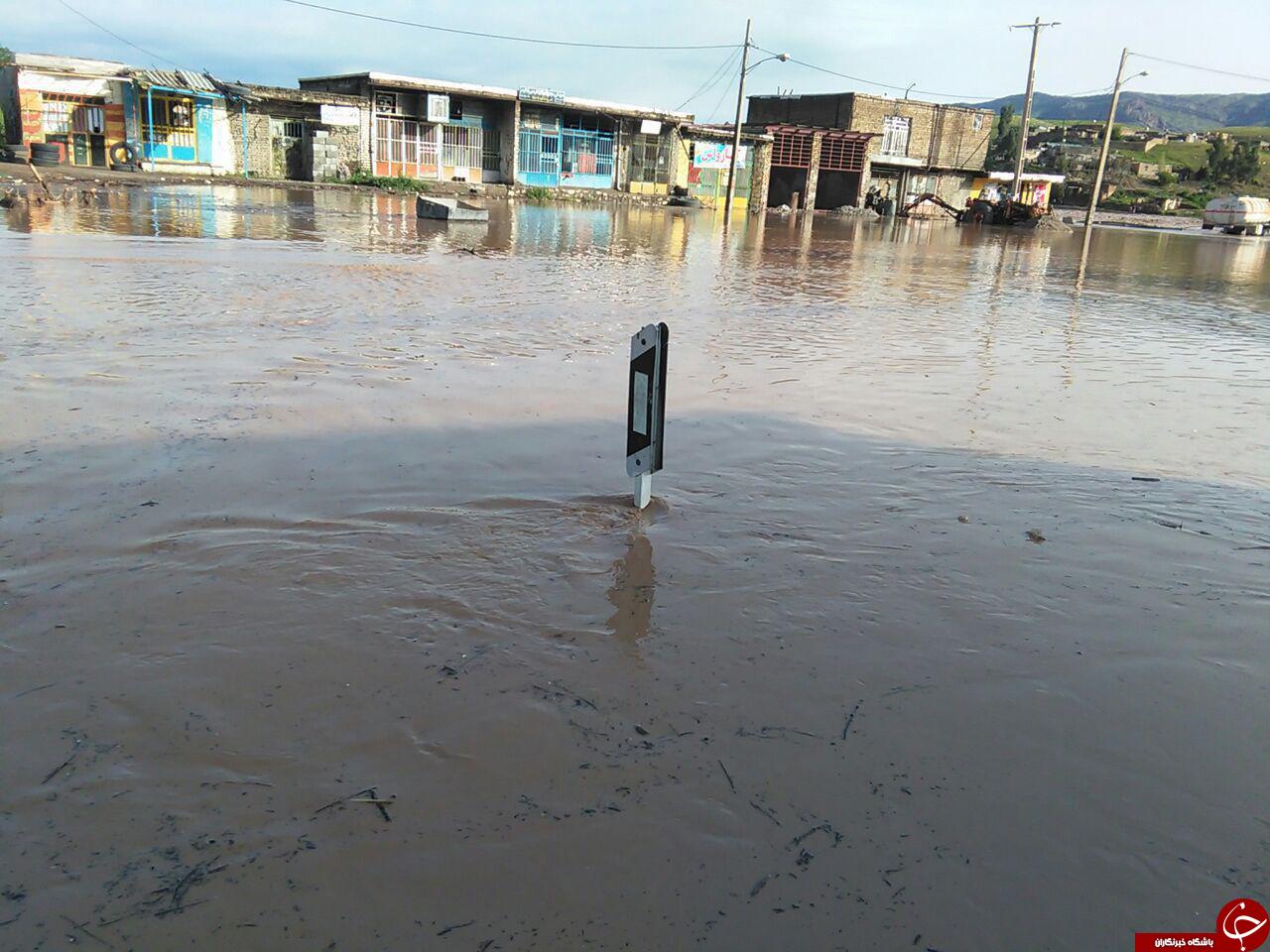 طعم کاهو سکنجبین در کنار پل خواجو و زاینده رود/
