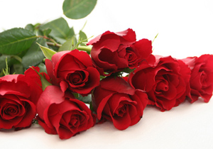 توزیع 15 هزار شاخه گل رز در شب آرزوها ، اصفهان