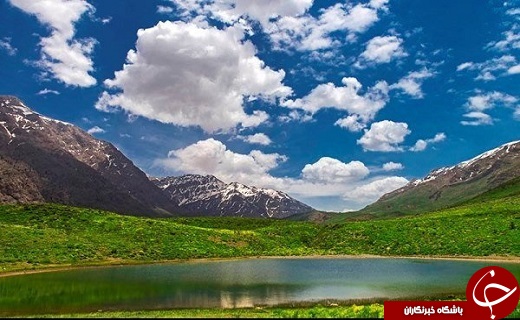ویژه بهار/با یک تیر دو نشان بزنید