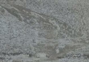 بارش تگرگ و باران کم سابقه + فیلم