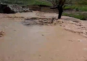 جاری شدن سیل در روستای هاشم آباد + فیلم