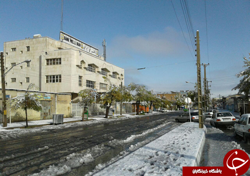 بارش برف بهاری چهارمحال و بختیاری را سفیدپوش کرد+تصاویر