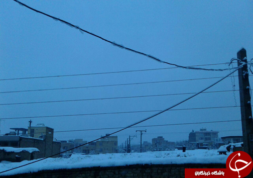 بارش برف بهاری چهارمحال و بختیاری را سفیدپوش کرد+تصاویر