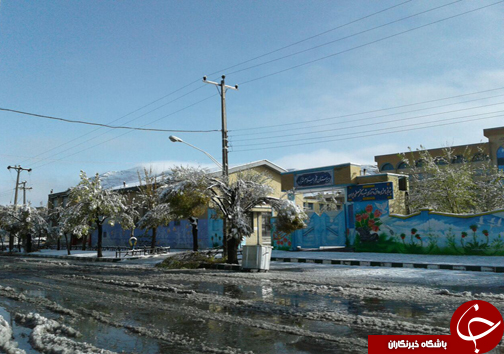 بارش برف بهاری چهارمحال و بختیاری را سفیدپوش کرد+تصاویر