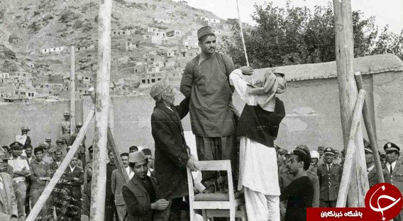 با ۱۰ قاتل خطرناک دنیا آشنا شوید