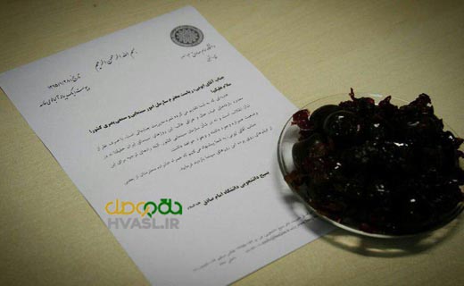 چرا آلبالو فاسد به دست ایوبی رسید؟