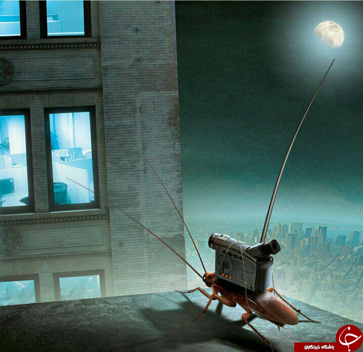 عکس هایی که شما رابه دنیای خیالی می برند