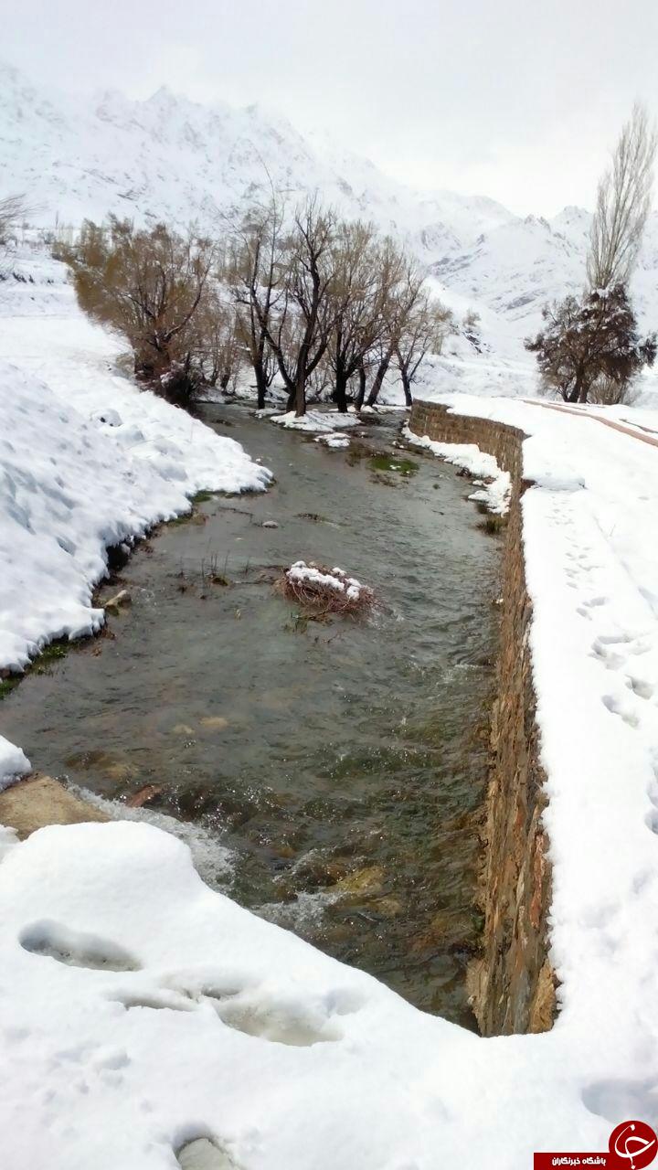تصاویری زیبا از زمستان در بهار شهر افوس