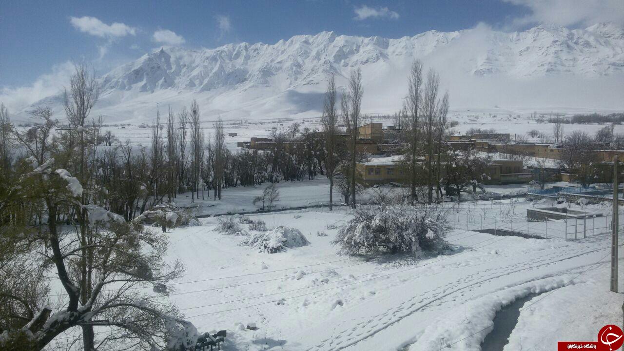 تصاویری زیبا از زمستان در بهار شهر افوس