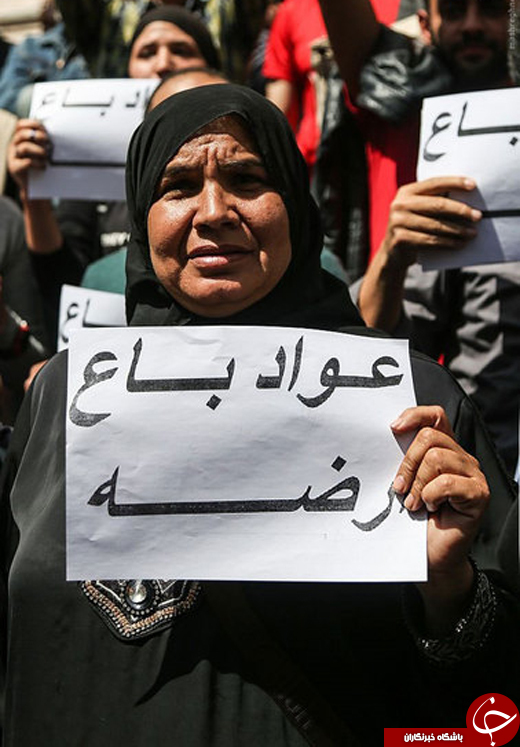 عکس/ تظاهرات علیه &laquo;ناموس فروشی&raquo; در مصر