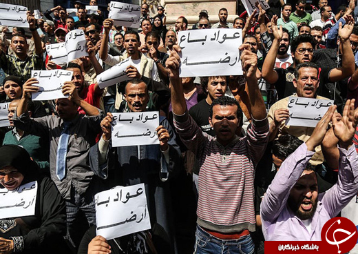 عکس/ تظاهرات علیه &laquo;ناموس فروشی&raquo; در مصر