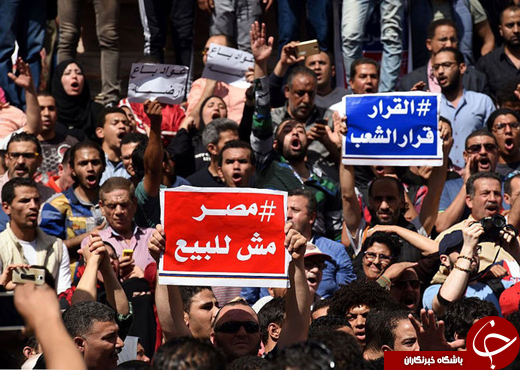 عکس/ تظاهرات علیه &laquo;ناموس فروشی&raquo; در مصر