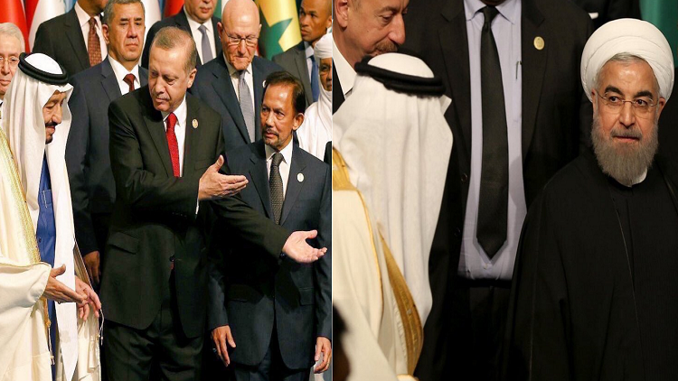 در حاشیه رویارویی پادشاه عربستان با روحانی در استانبول/ ملک سلمان، استاد لقمان حکیم!+ فیلم و تصاویر